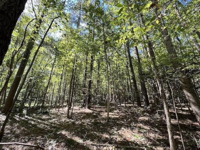 Kittrell, Franklin County, NC Recreational Property, Timberland