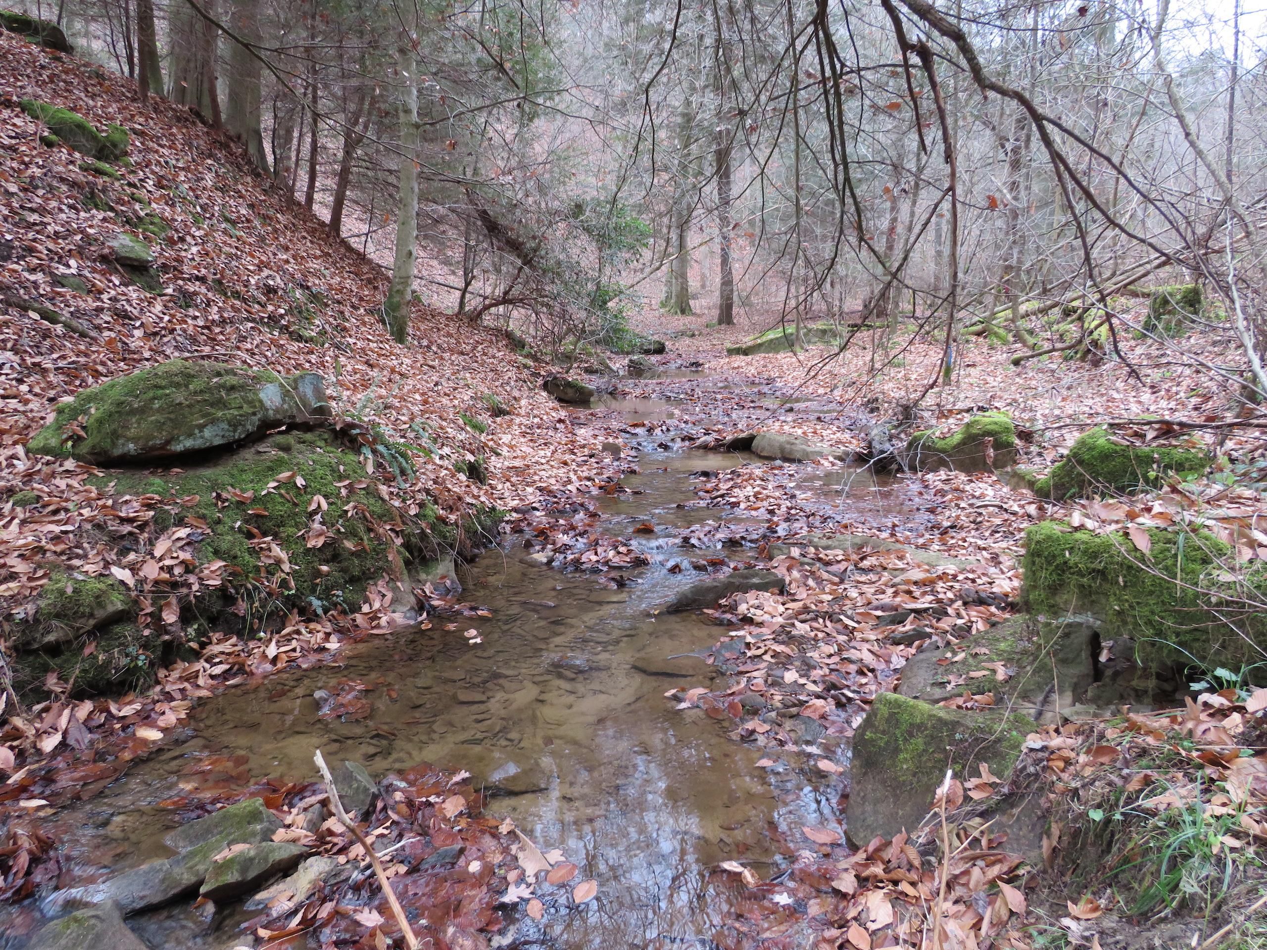 Charleston, Kanawha County, WV Recreational Property, Timberland