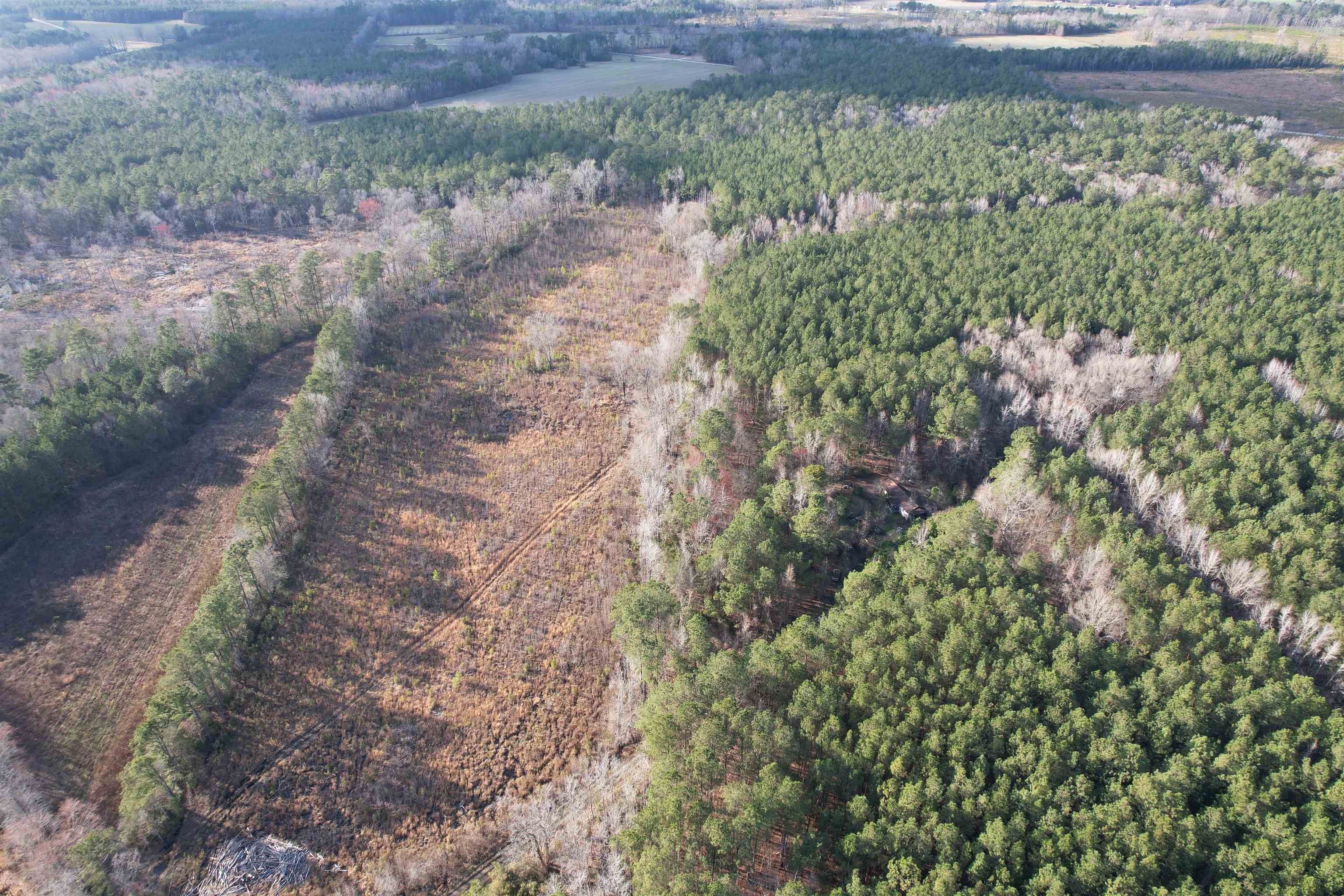 Hemingway, Williamsburg County, SC Undeveloped Land for sale Property