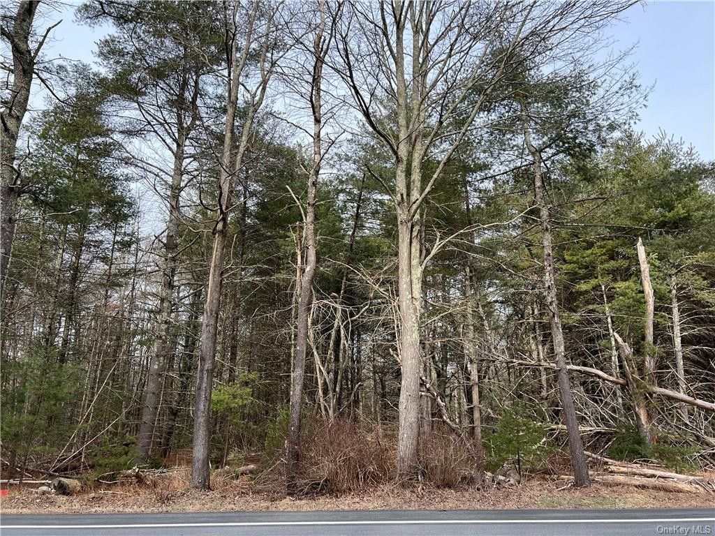Forestburgh, Sullivan County, NY Undeveloped Land, Homesites for sale