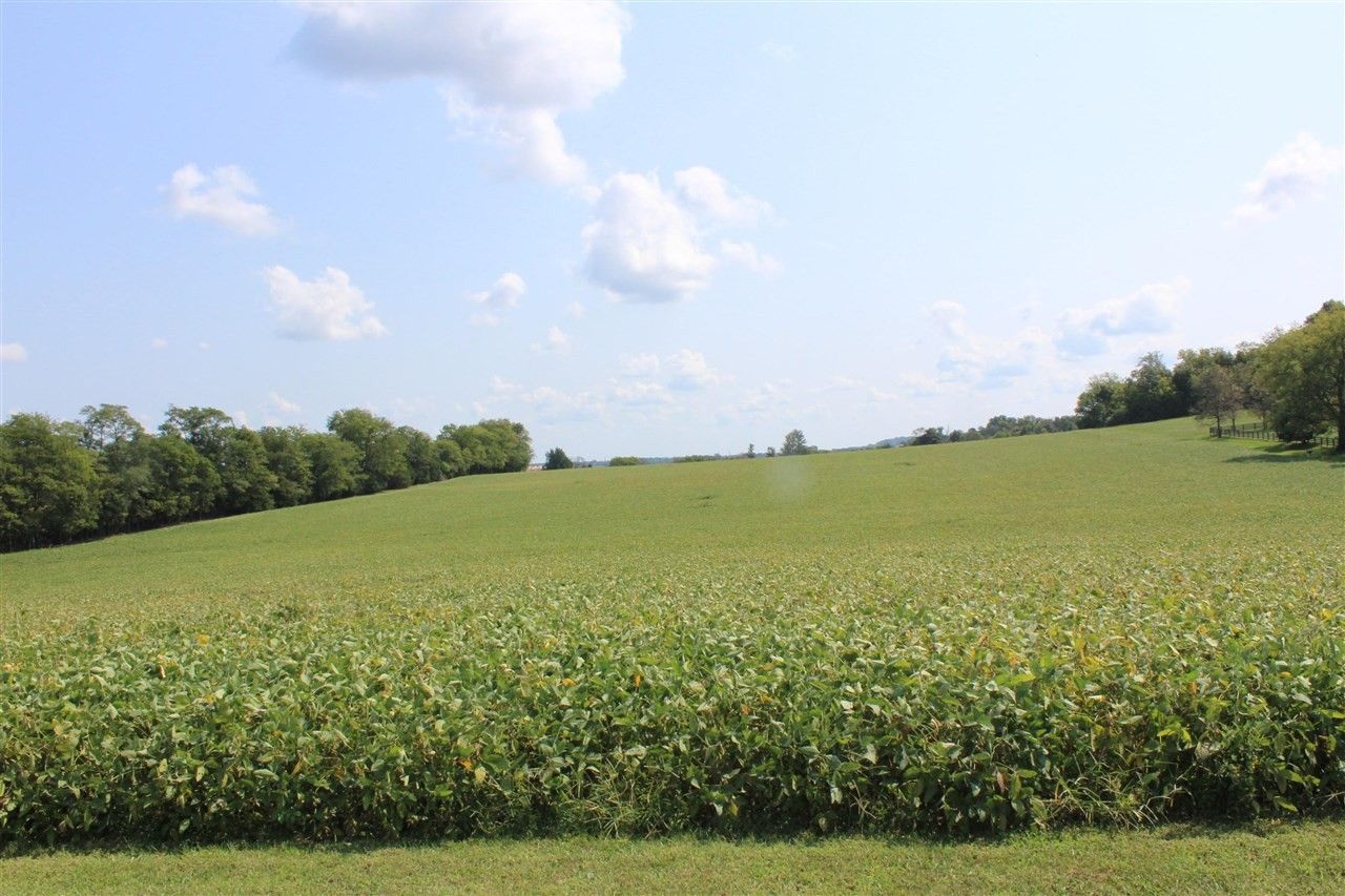 Horse Cave, Hart County, KY for sale Property ID 415816877 LandWatch