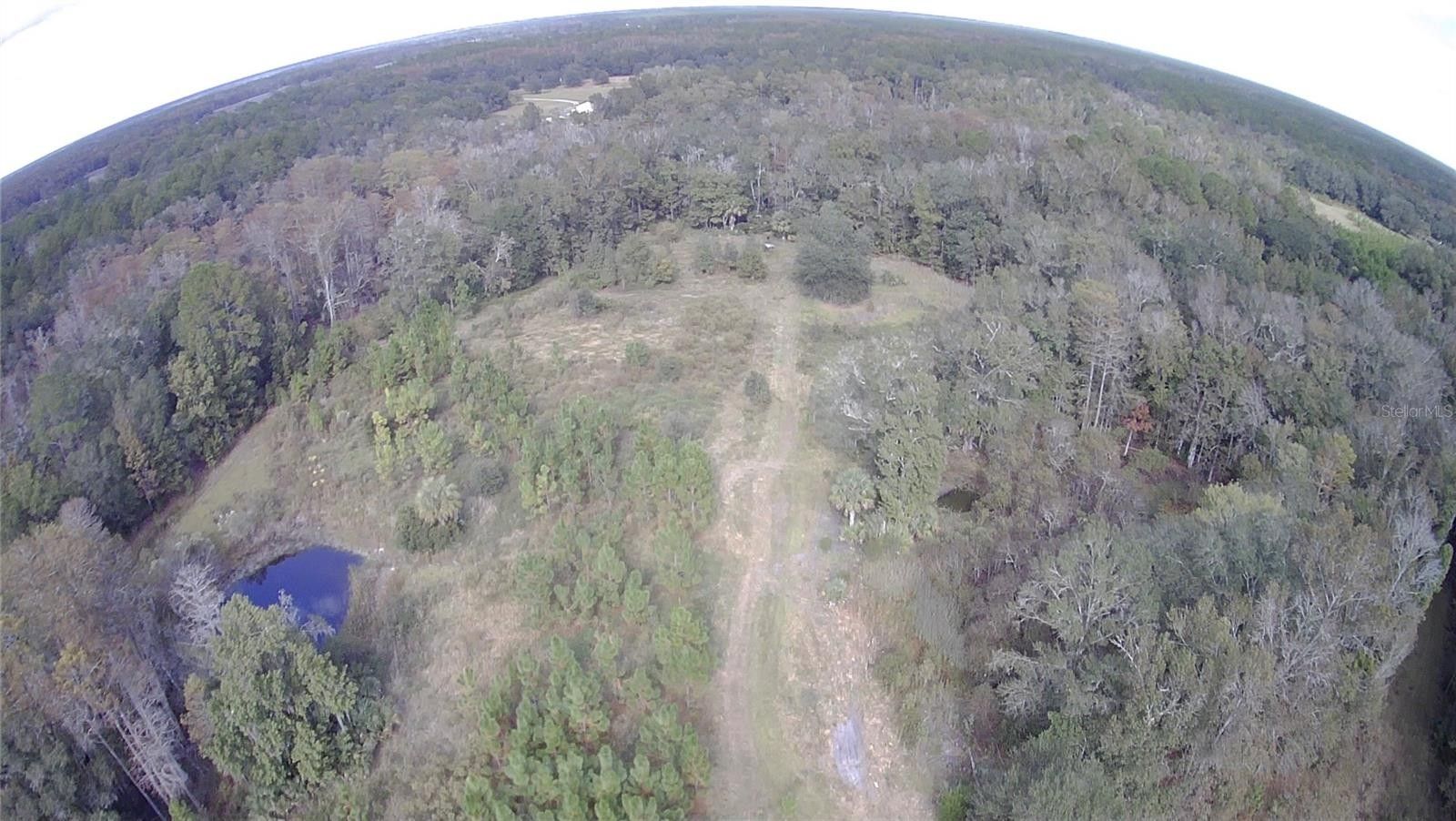 Chiefland, Levy County, FL Undeveloped Land for sale Property ID