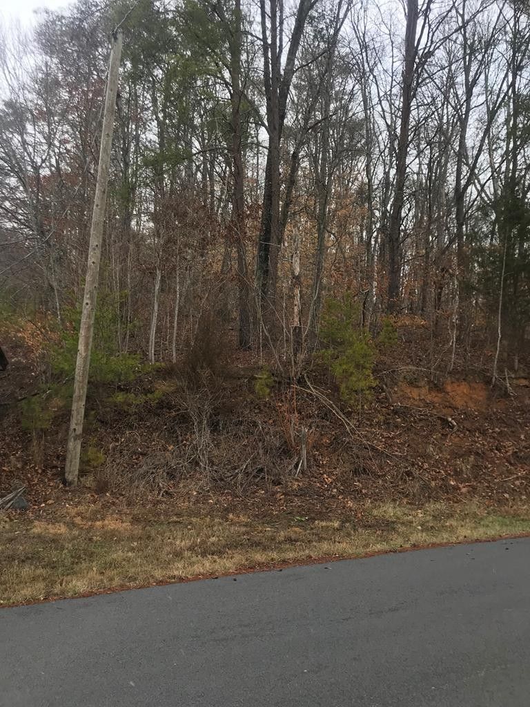 Mooresburg, Hawkins County, TN Undeveloped Land for sale Property ID
