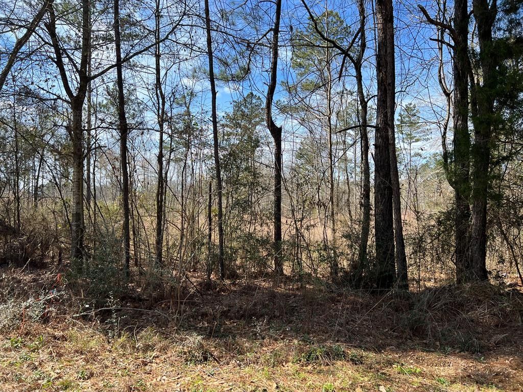 Waynesboro, Wayne County, MS Farms and Ranches, Homesites for sale