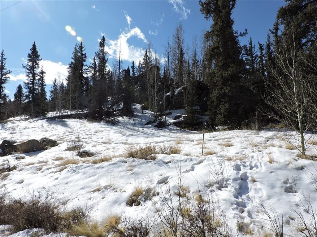 Jefferson, Park County, CO Undeveloped Land, Homesites for sale Property ID 415834906 LandWatch