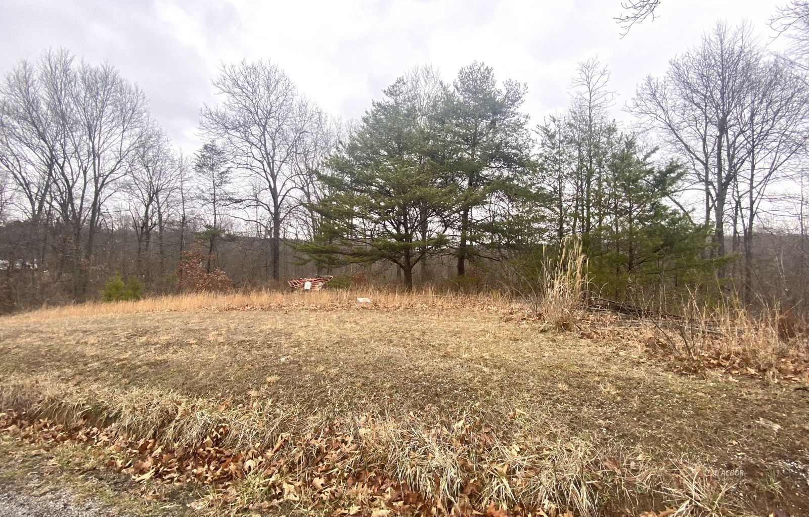 Patriot, Gallia County, OH Farms and Ranches, Homesites for sale