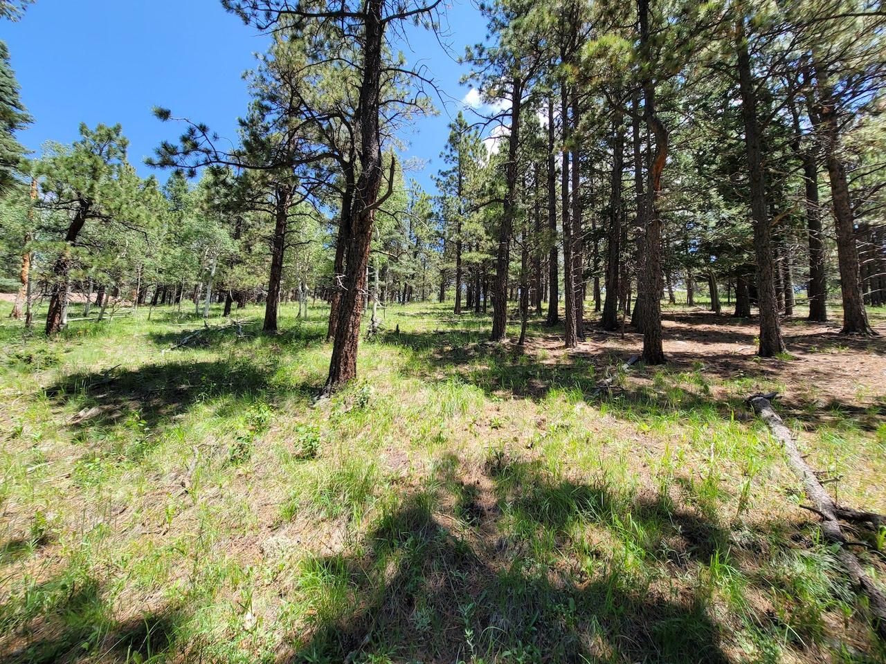 Aguilar, Las Animas County, CO Recreational Property, Undeveloped Land
