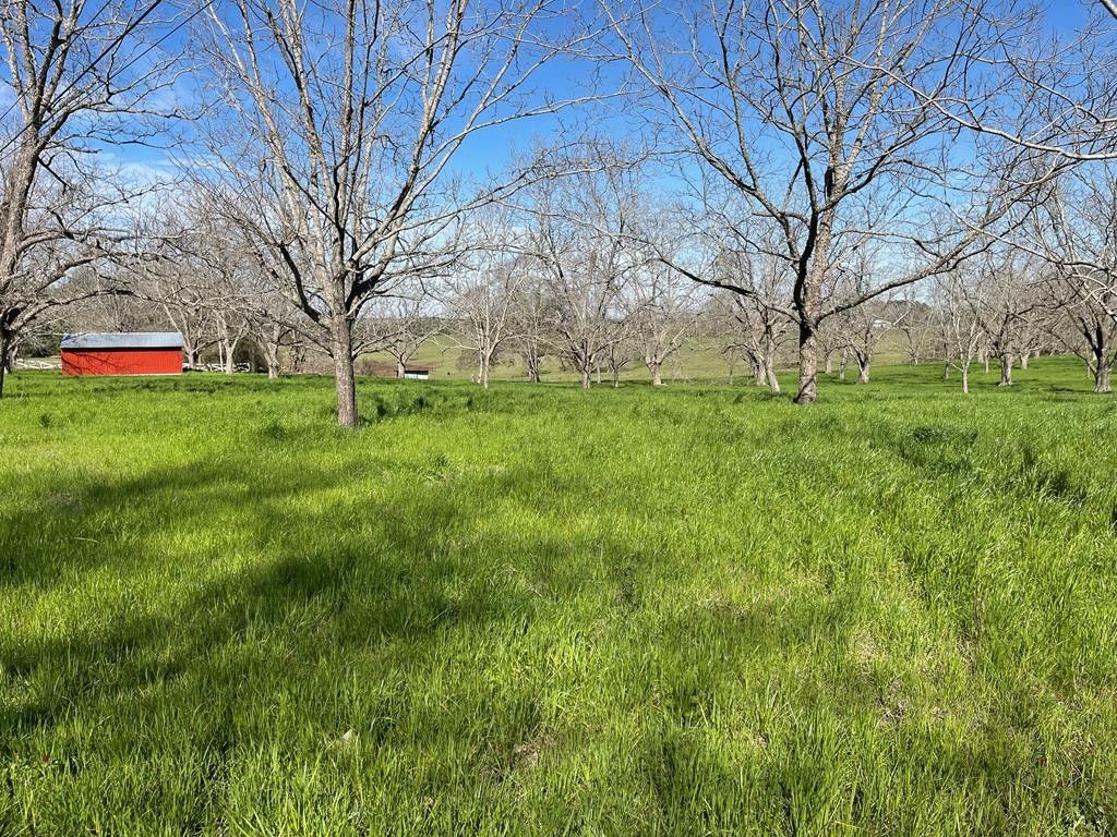 Brundidge, Pike County, AL Undeveloped Land, Homesites for sale