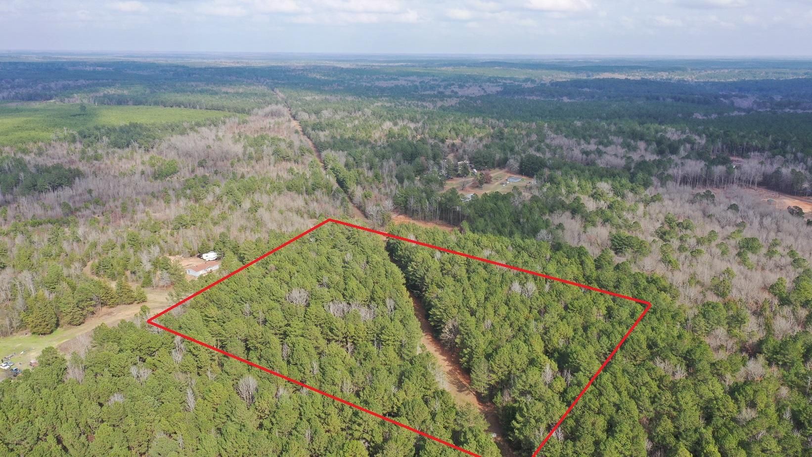 Bivins, Cass County, TX Recreational Property, Undeveloped Land for