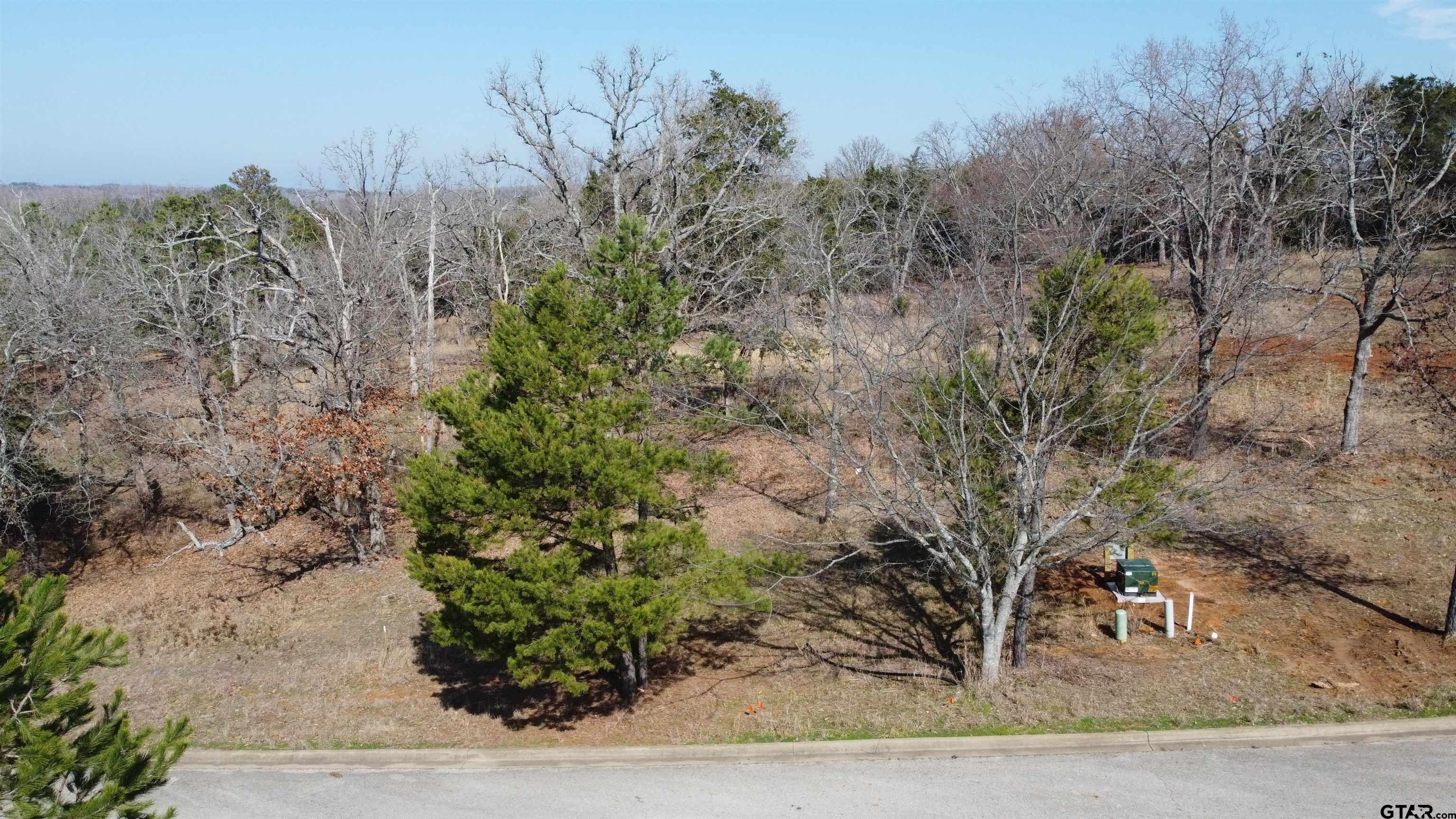 Lindale, Smith County, TX Undeveloped Land, Homesites for sale Property