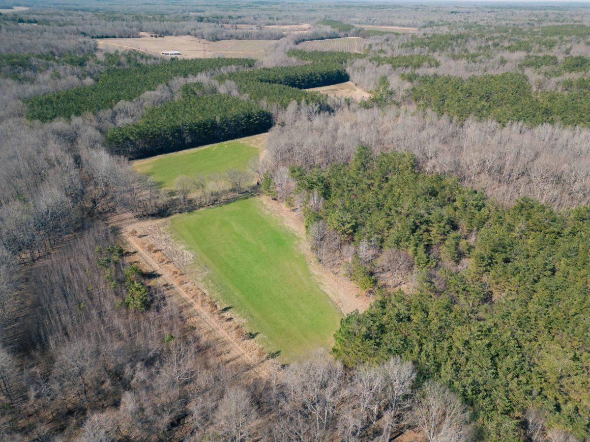 Jackson, Marshall County, MS Recreational Property, Timberland Property