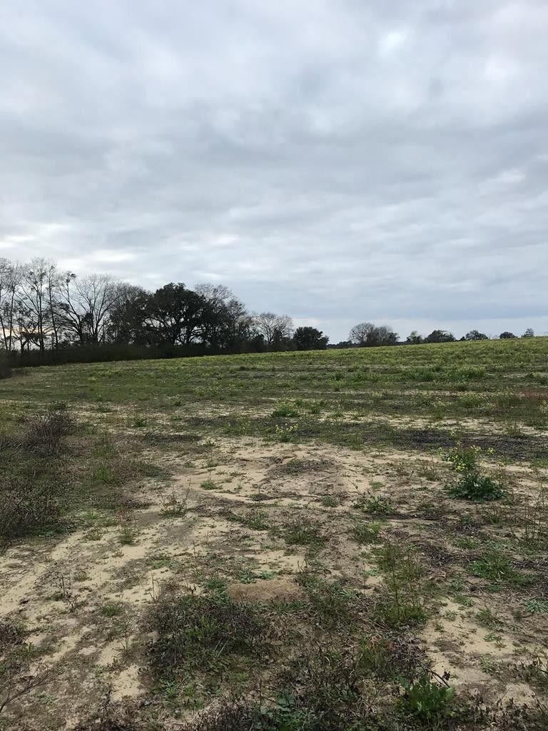 Ashford, Houston County, AL for sale Property ID 415843066 LandWatch