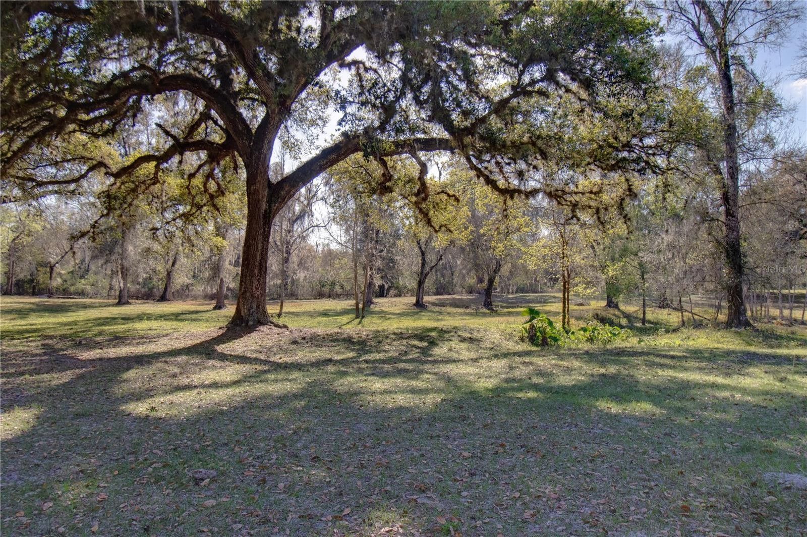 ster, Sumter County, FL Farms and Ranches for sale Property ID