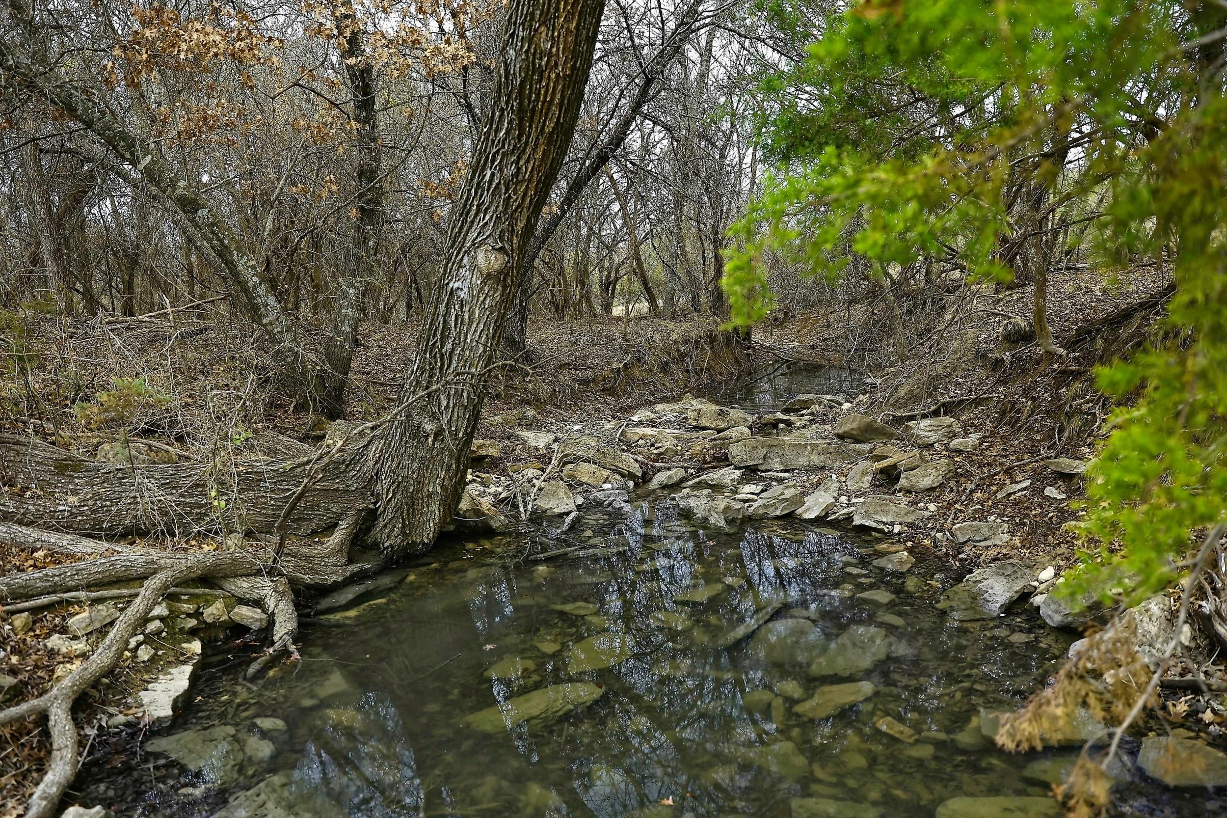 Lipan, Erath County, TX Farms and Ranches for sale Property ID
