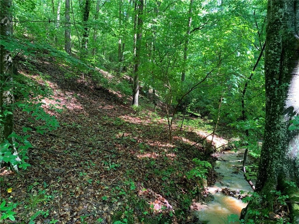 Danbury, Stokes County, NC Undeveloped Land for sale Property ID