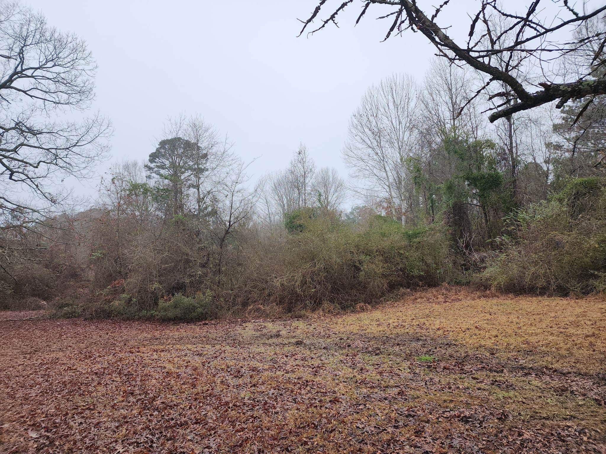 Marshall, Harrison County, TX Undeveloped Land for sale Property ID