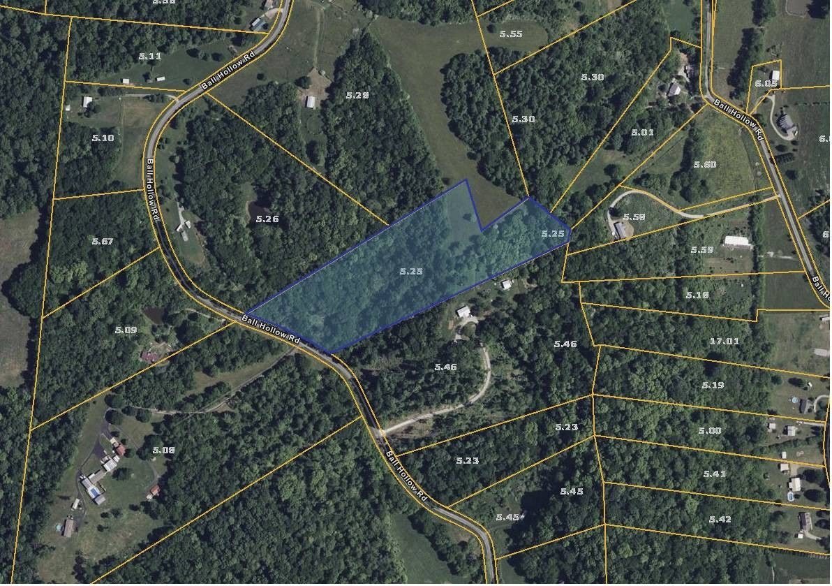 Pulaski, Giles County, TN Undeveloped Land for sale Property ID