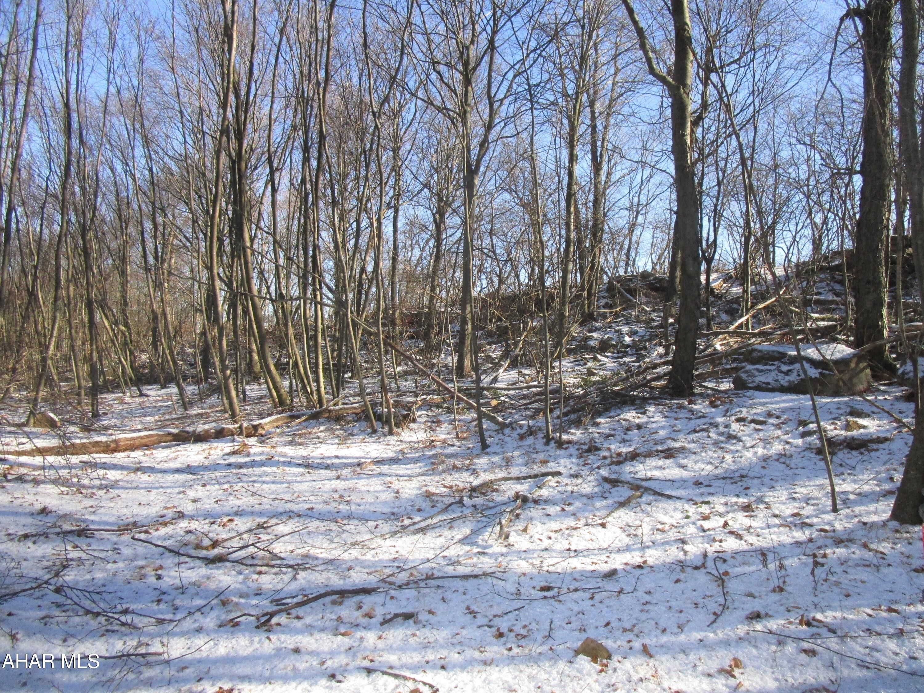 Bedford, Bedford County, PA Undeveloped Land for sale Property ID