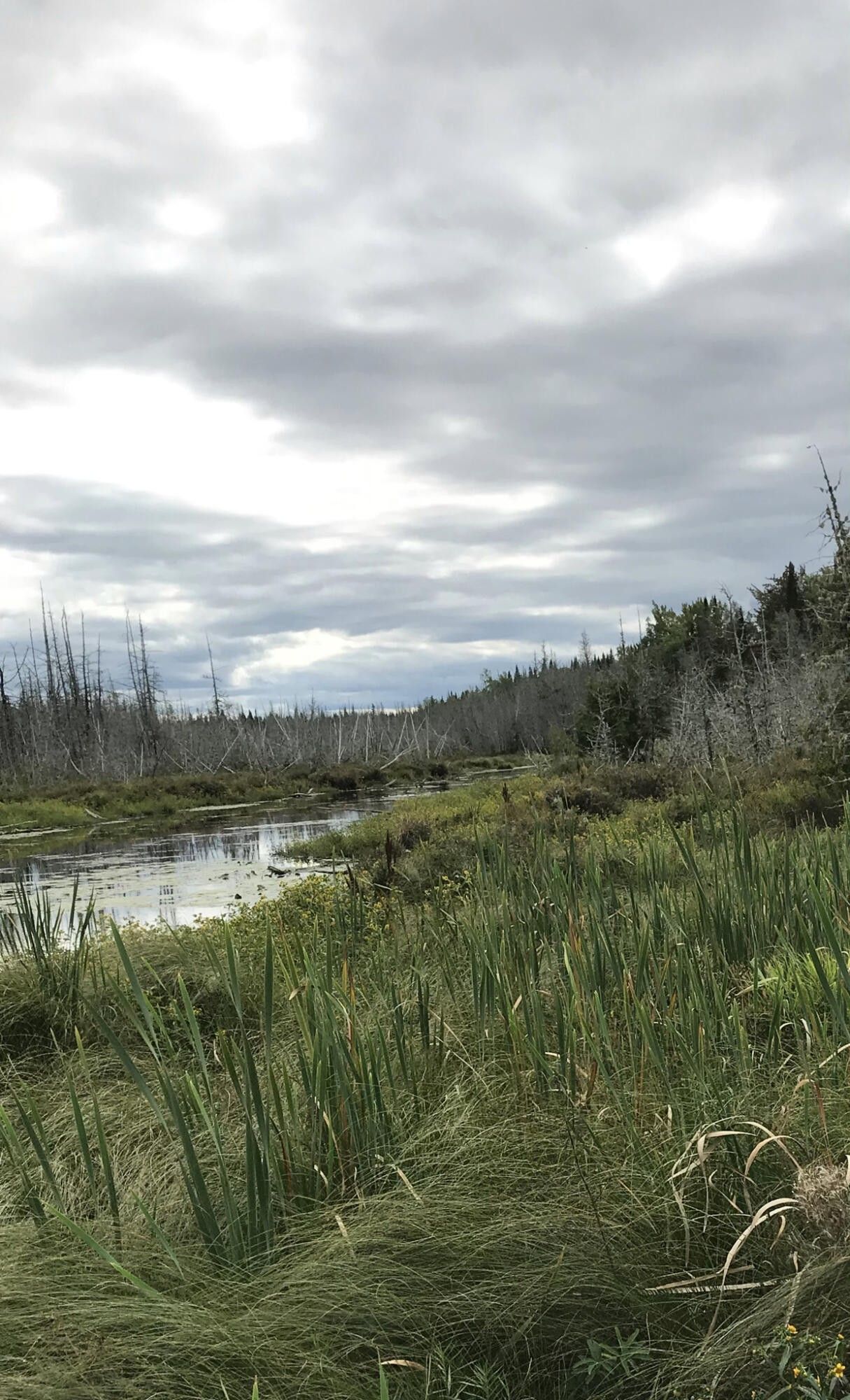 Hodgdon, Aroostook County, ME Undeveloped Land, Lakefront Property