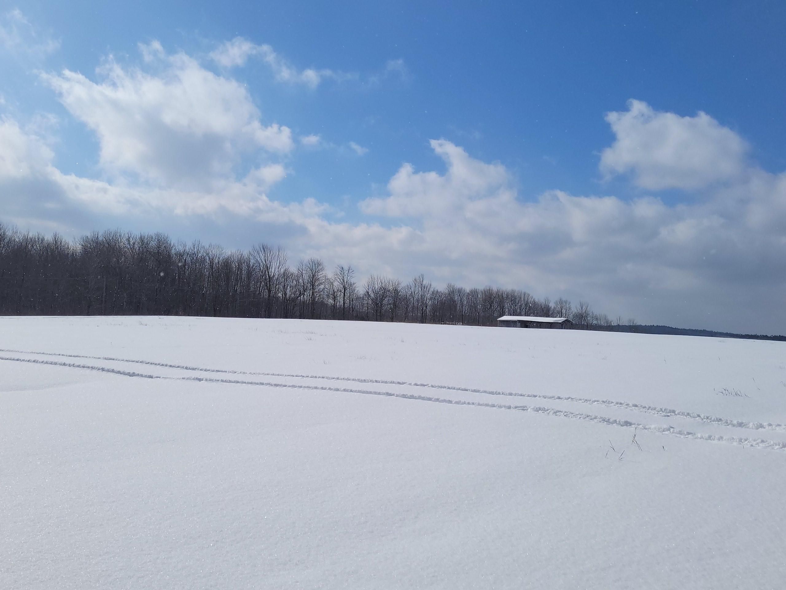 Mcdonough, Chenango County, NY Recreational Property, Timberland