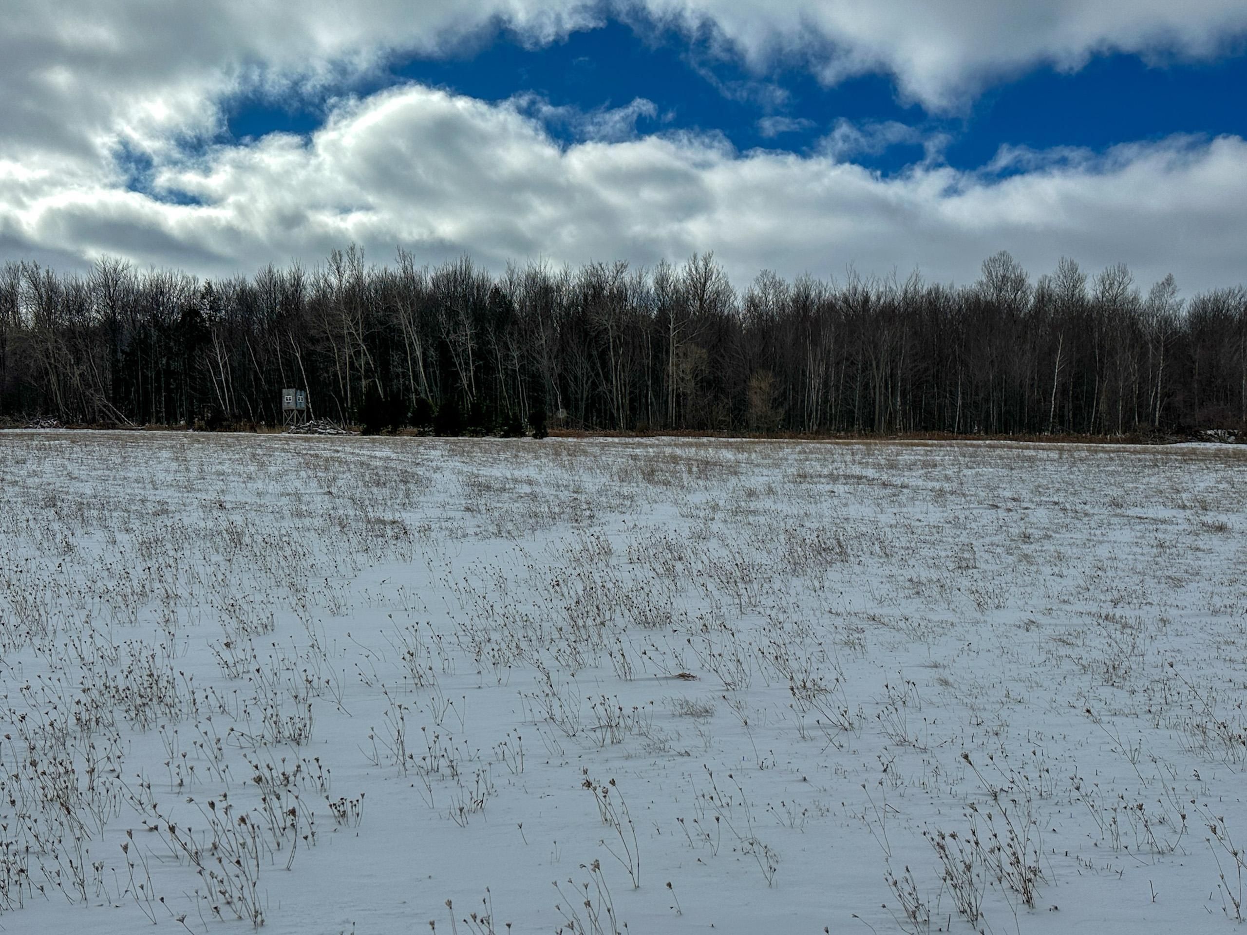 Rapson, Huron County, MI Farms and Ranches, Recreational Property