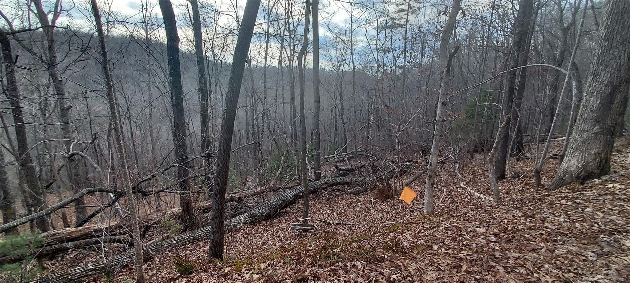 Saluda, Polk County, NC Undeveloped Land, Homesites for sale Property