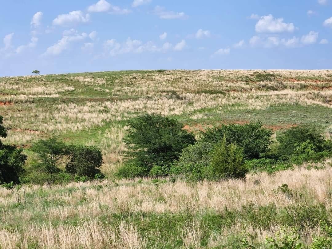 Sayre, Beckham County, OK Undeveloped Land, Lakefront Property, Waterfront Property for sale