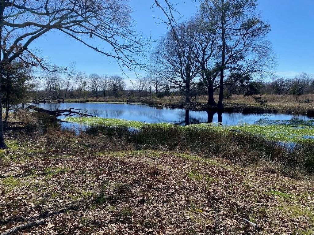 De Kalb, Bowie County, TX Recreational Property, Undeveloped Land