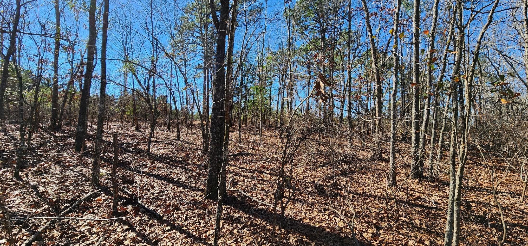 Saint Matthews, Calhoun County, SC Recreational Property, Undeveloped