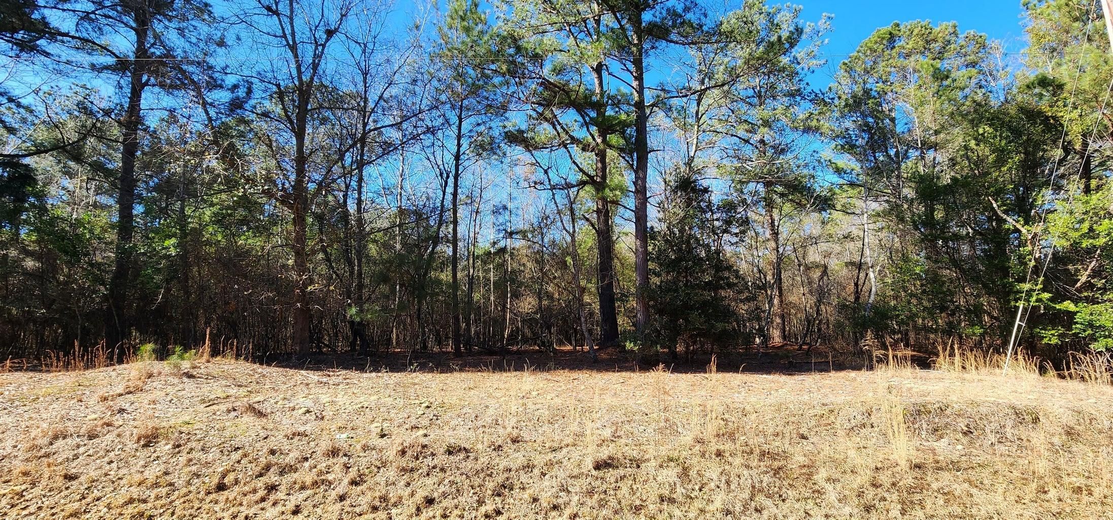 Saint Matthews, Calhoun County, SC Recreational Property, Undeveloped