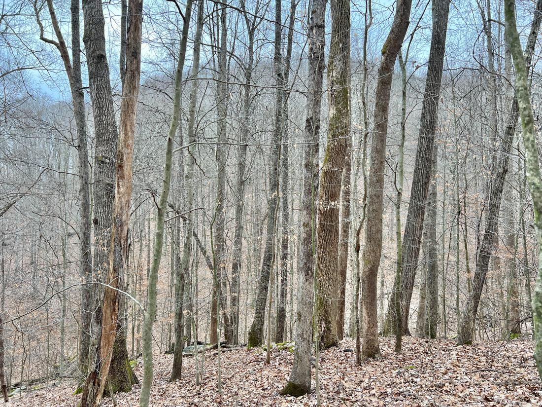 Charleston, Kanawha County, WV Recreational Property, Hunting Property