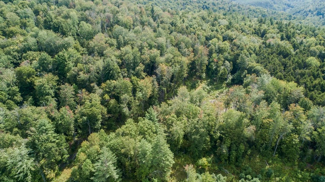 Bethel, Windsor County, VT Recreational Property, Undeveloped Land