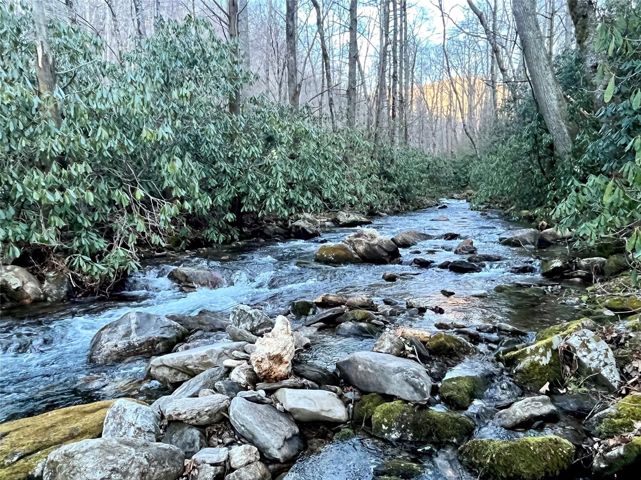 Canton, Haywood County, NC Farms and Ranches, Homesites for sale