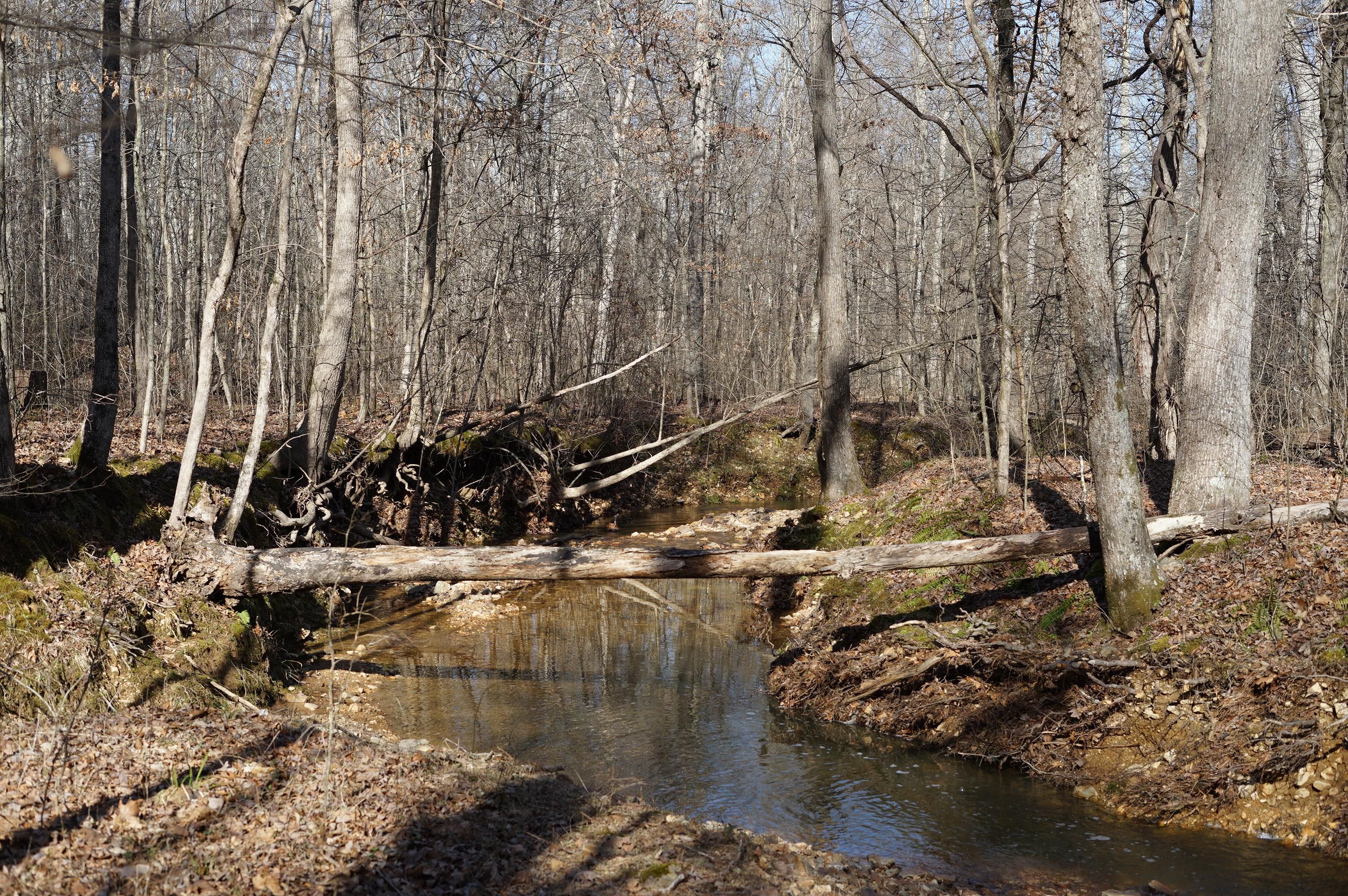 Big Sandy, Benton County, TN Recreational Property, Undeveloped Land