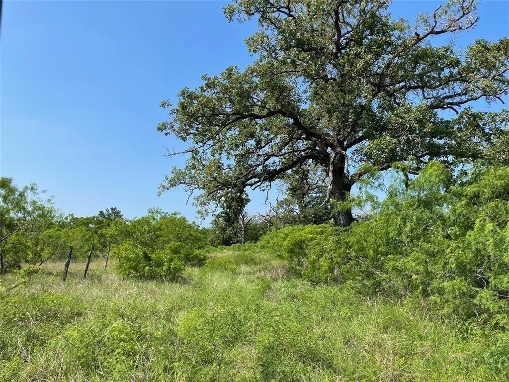 Flatonia, Fayette County, TX Farms and Ranches, Undeveloped Land