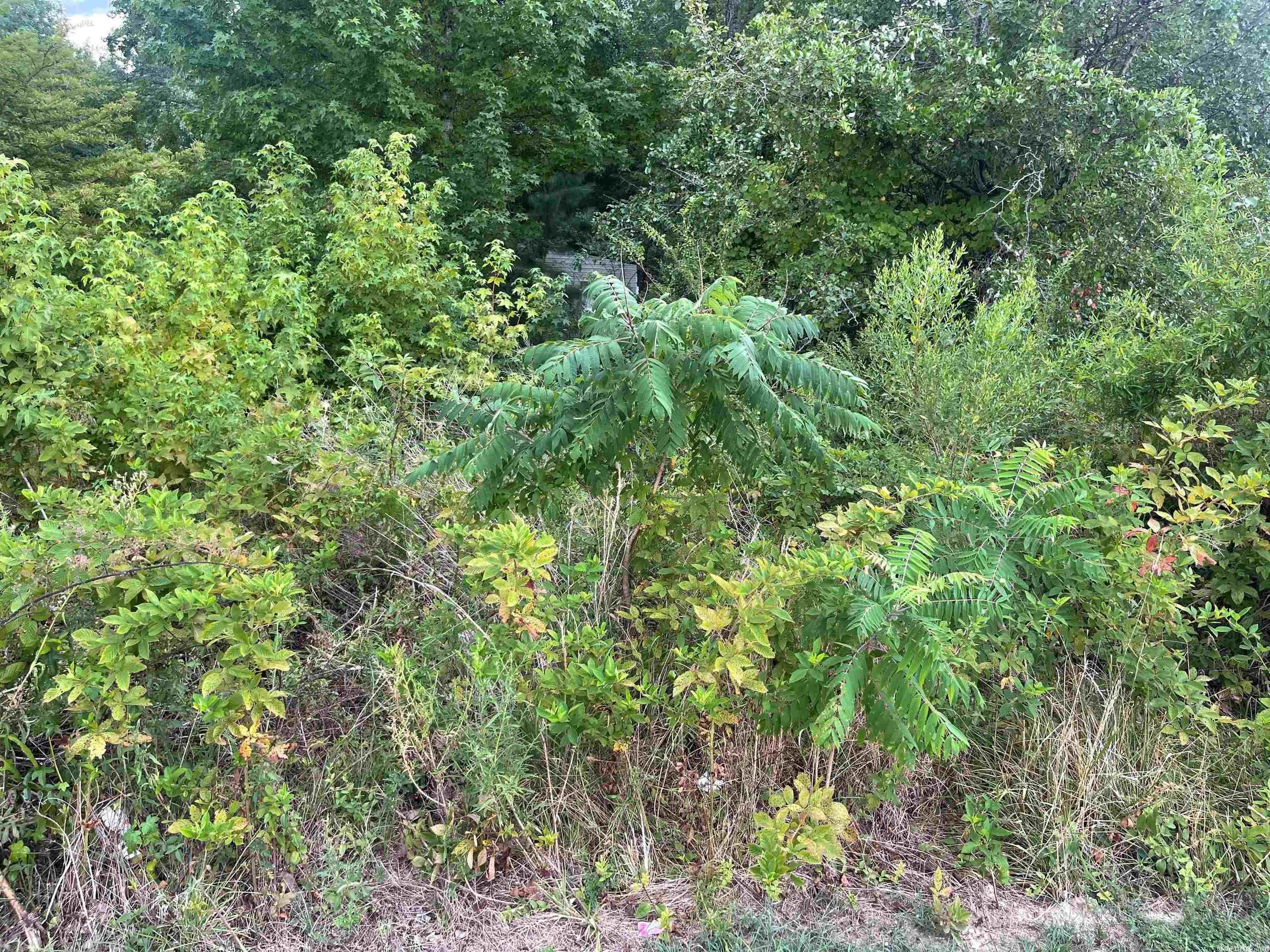 Vilonia, Faulkner County, AR Undeveloped Land, Homesites for sale