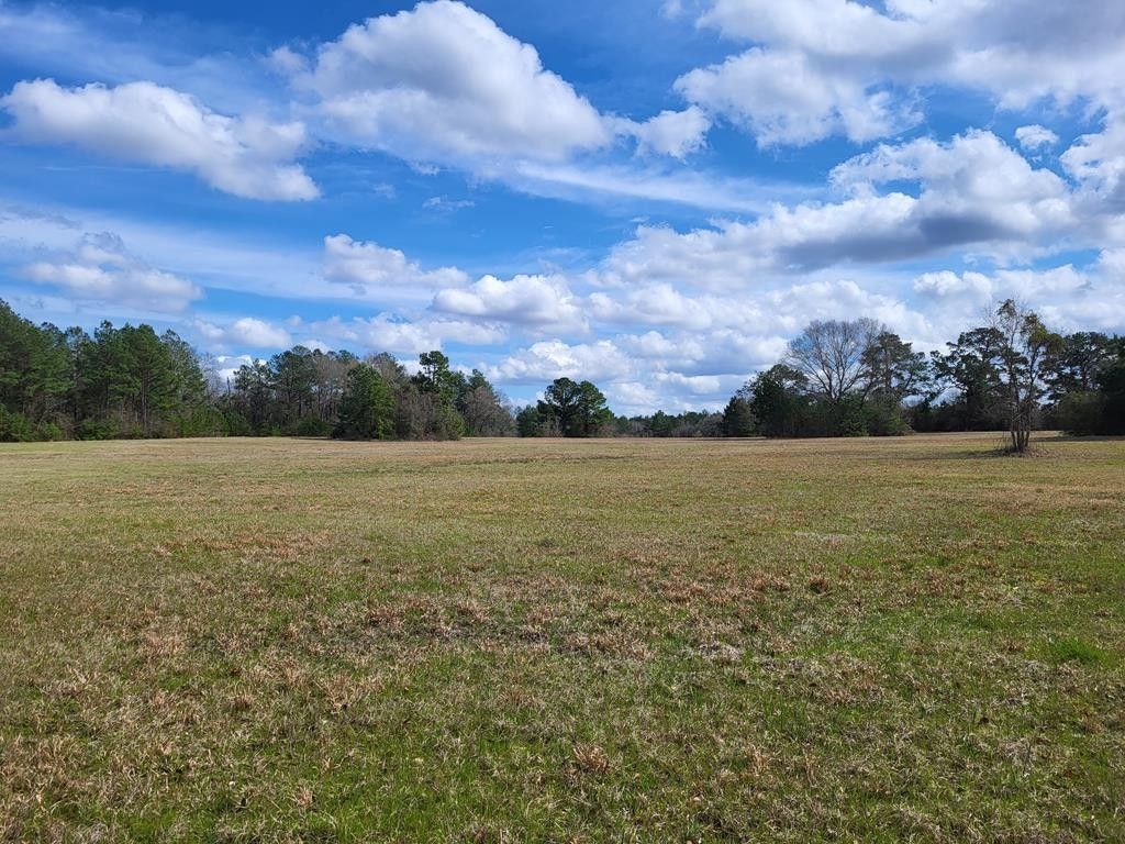 Lufkin, Angelina County, TX House for sale Property ID 415854823