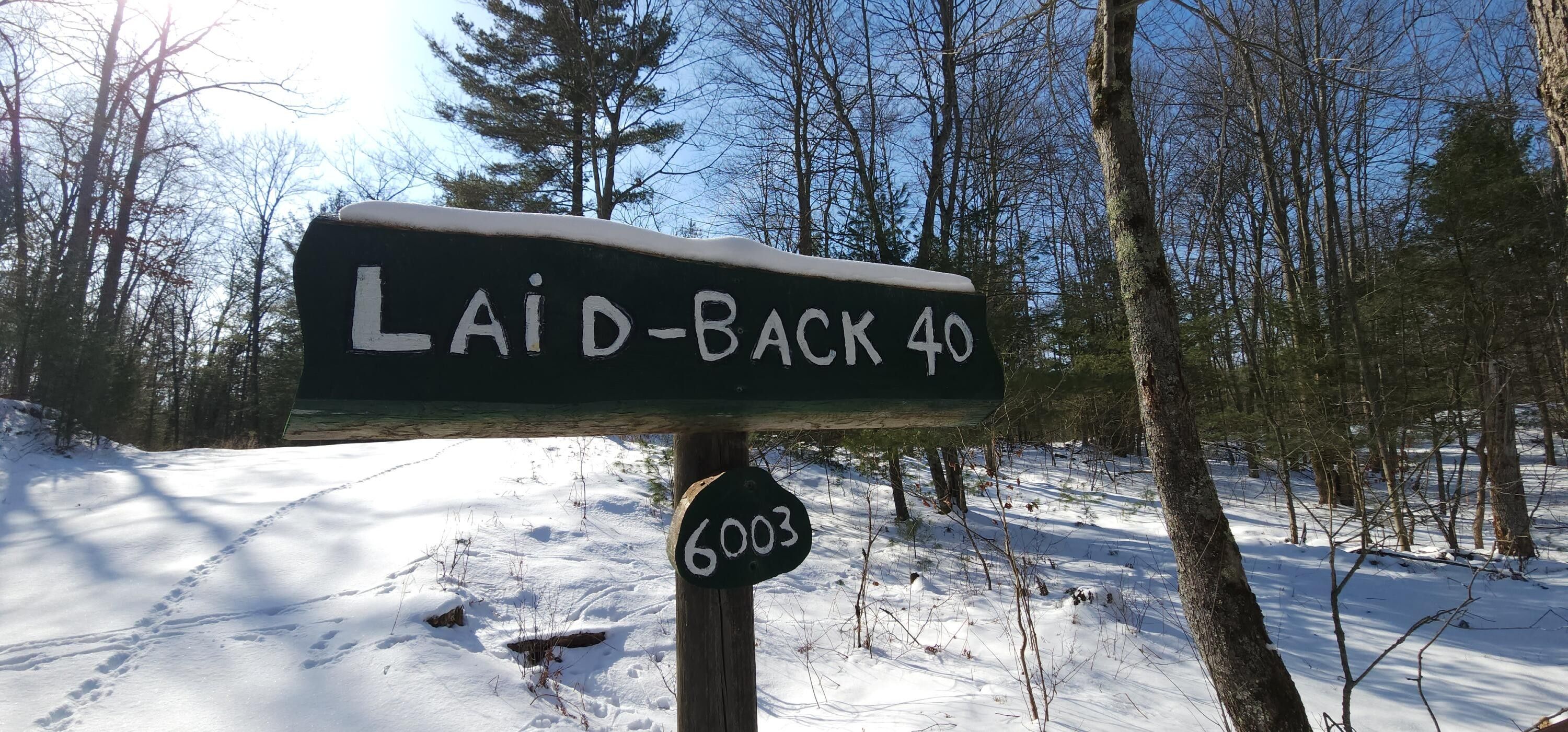 Custer, Mason County, MI Farms and Ranches for sale Property ID