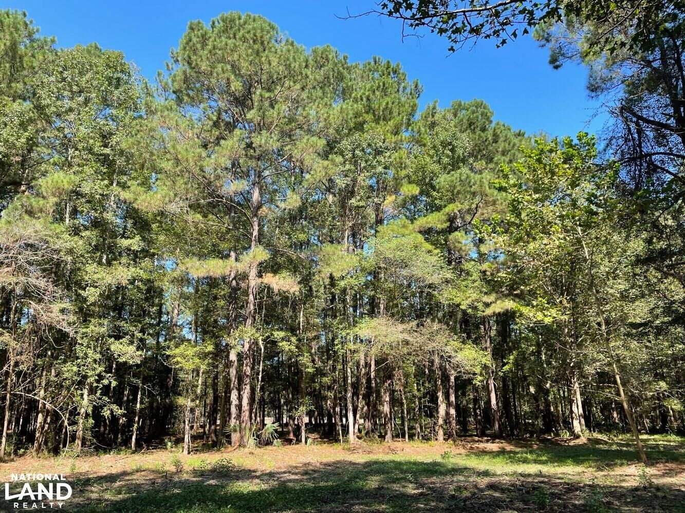 Ridgeville, Berkeley County, SC Recreational Property, Undeveloped Land