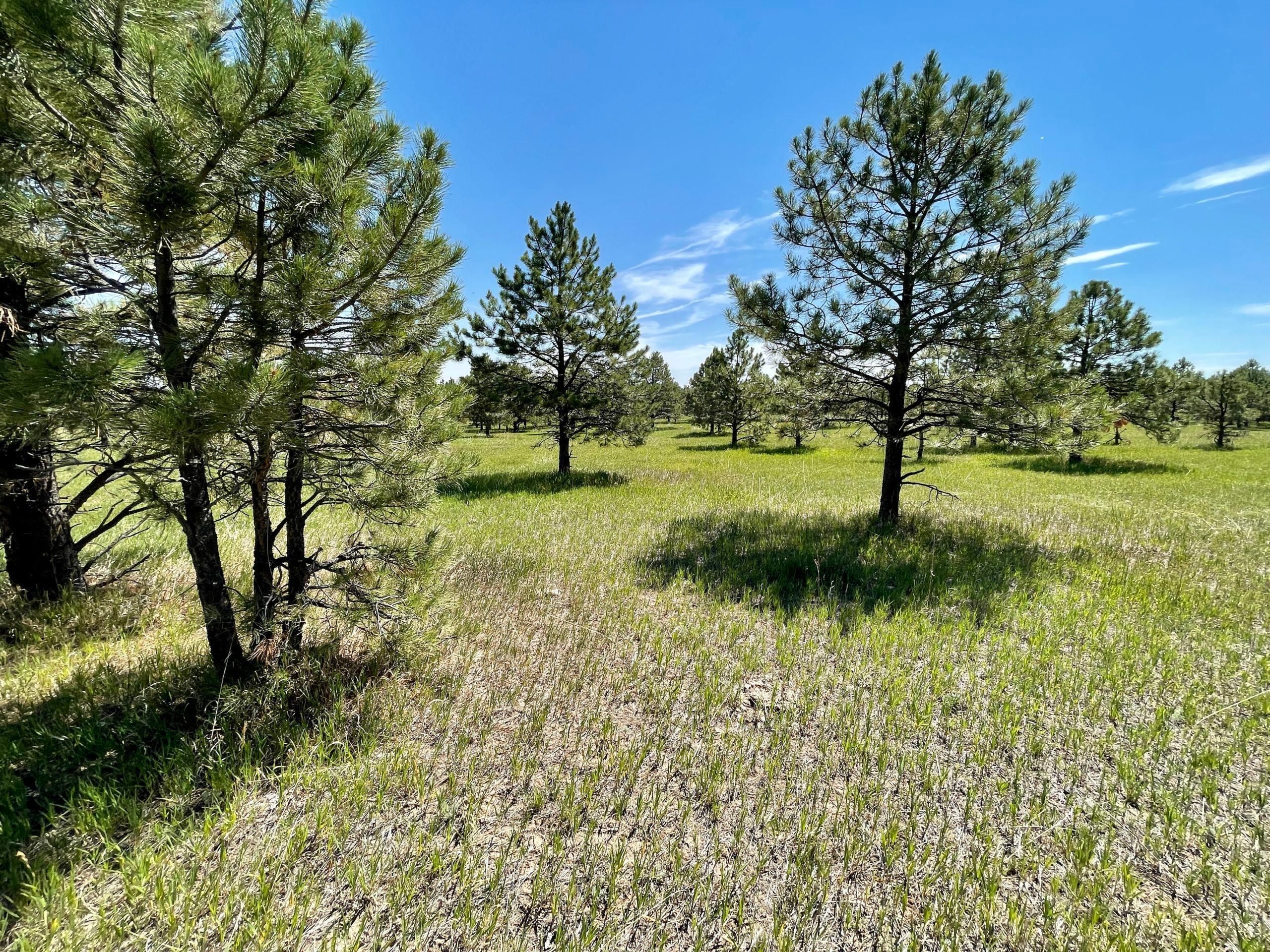Colorado Springs, El Paso County, CO Farms and Ranches, Recreational