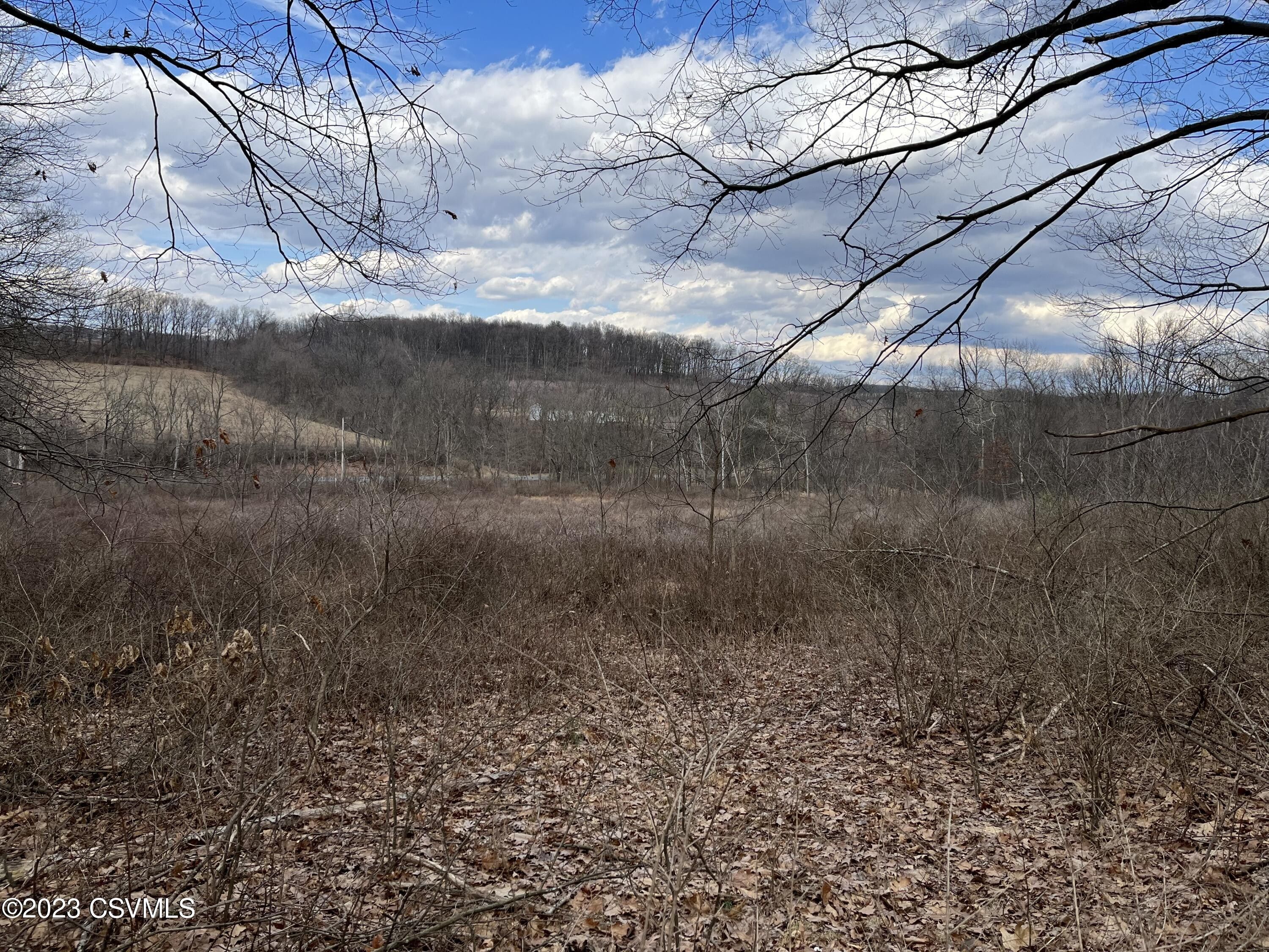 Paxinos, Northumberland County, PA Farms and Ranches for sale Property