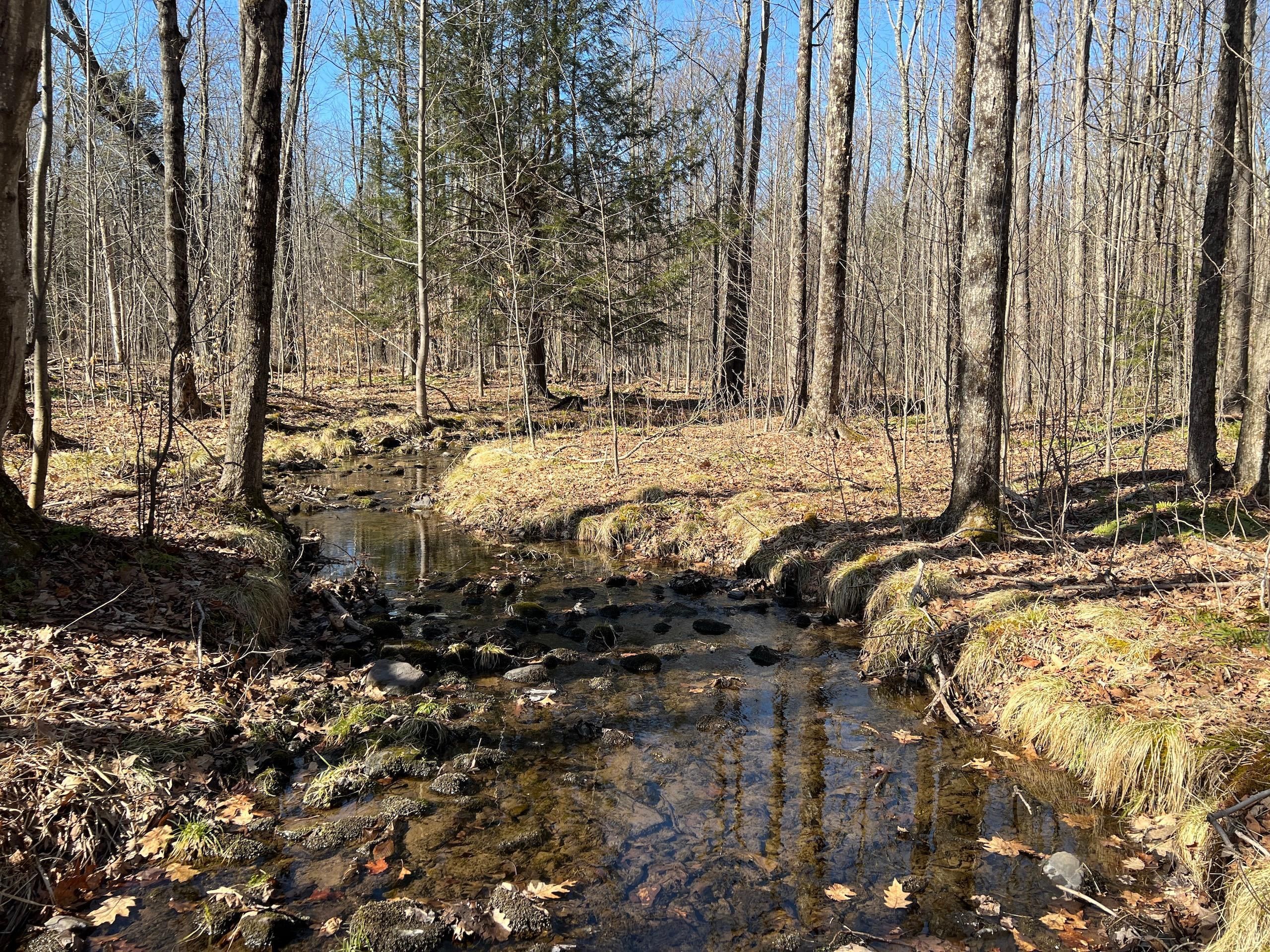 Jefferson, Lackawanna County, PA Recreational Property, Timberland