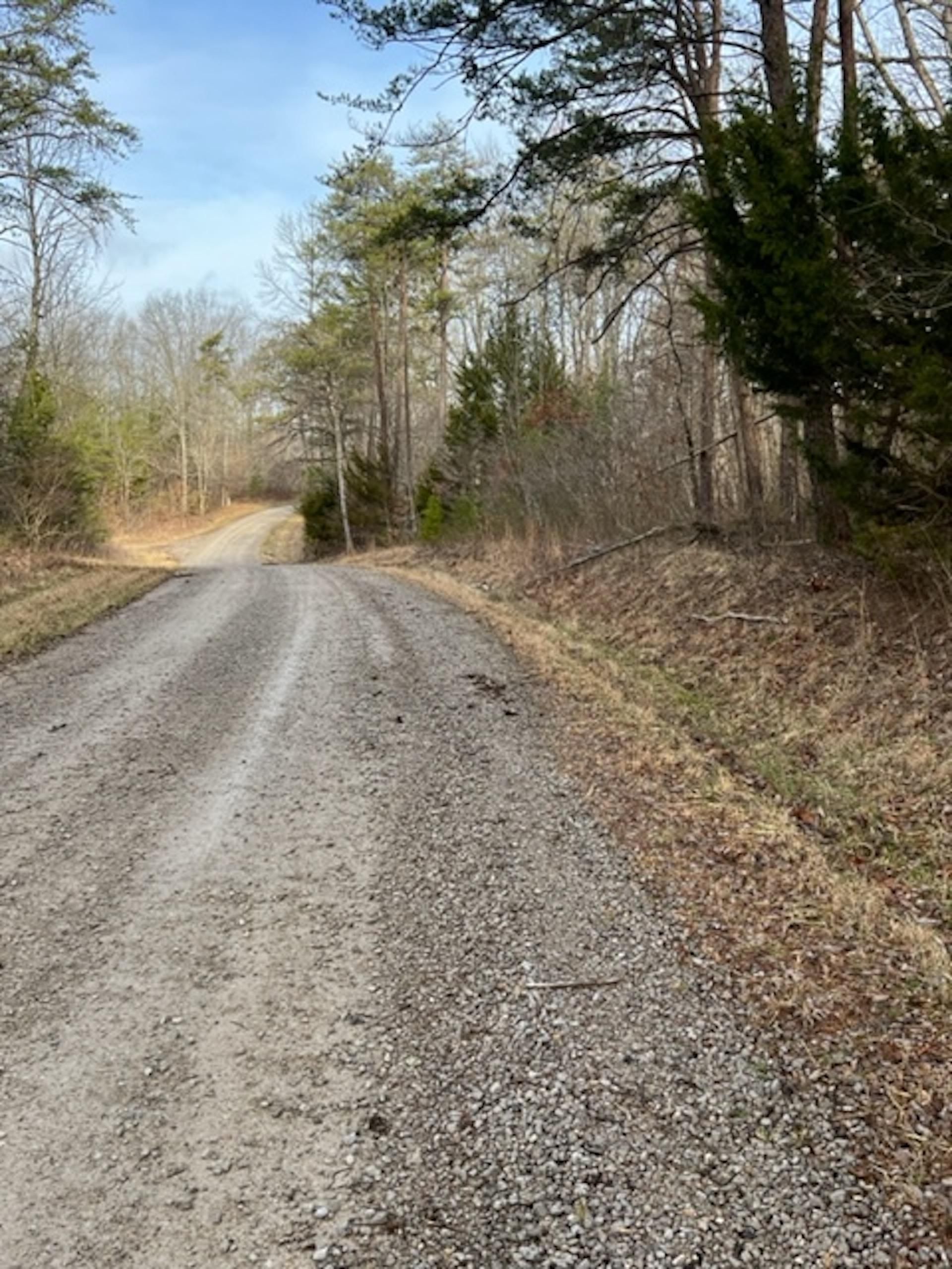 Wilder, Fentress County, TN Recreational Property, Timberland Property