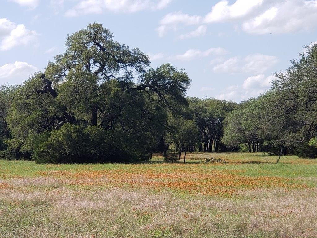 Lampasas, Lampasas County, TX Farms and Ranches, Recreational Property