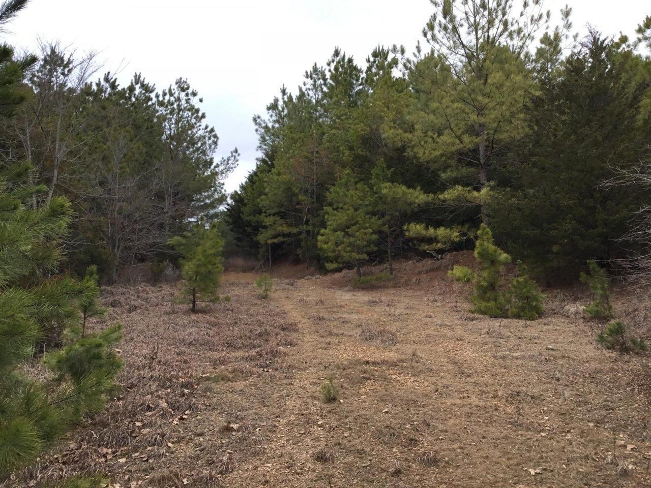 Casa, Perry County, AR Recreational Property for sale Property ID