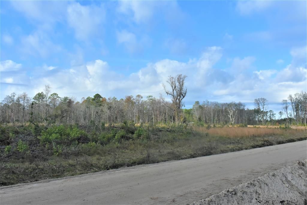 Ludowici, Long County, GA Undeveloped Land for sale Property ID