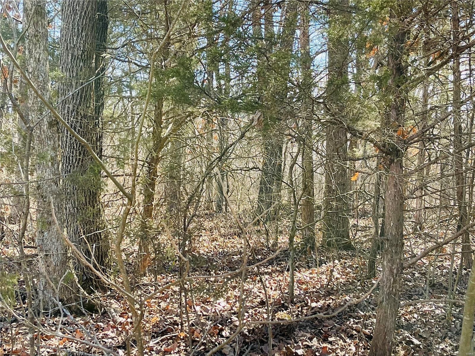 De Soto, Jefferson County, MO Undeveloped Land, Homesites for sale