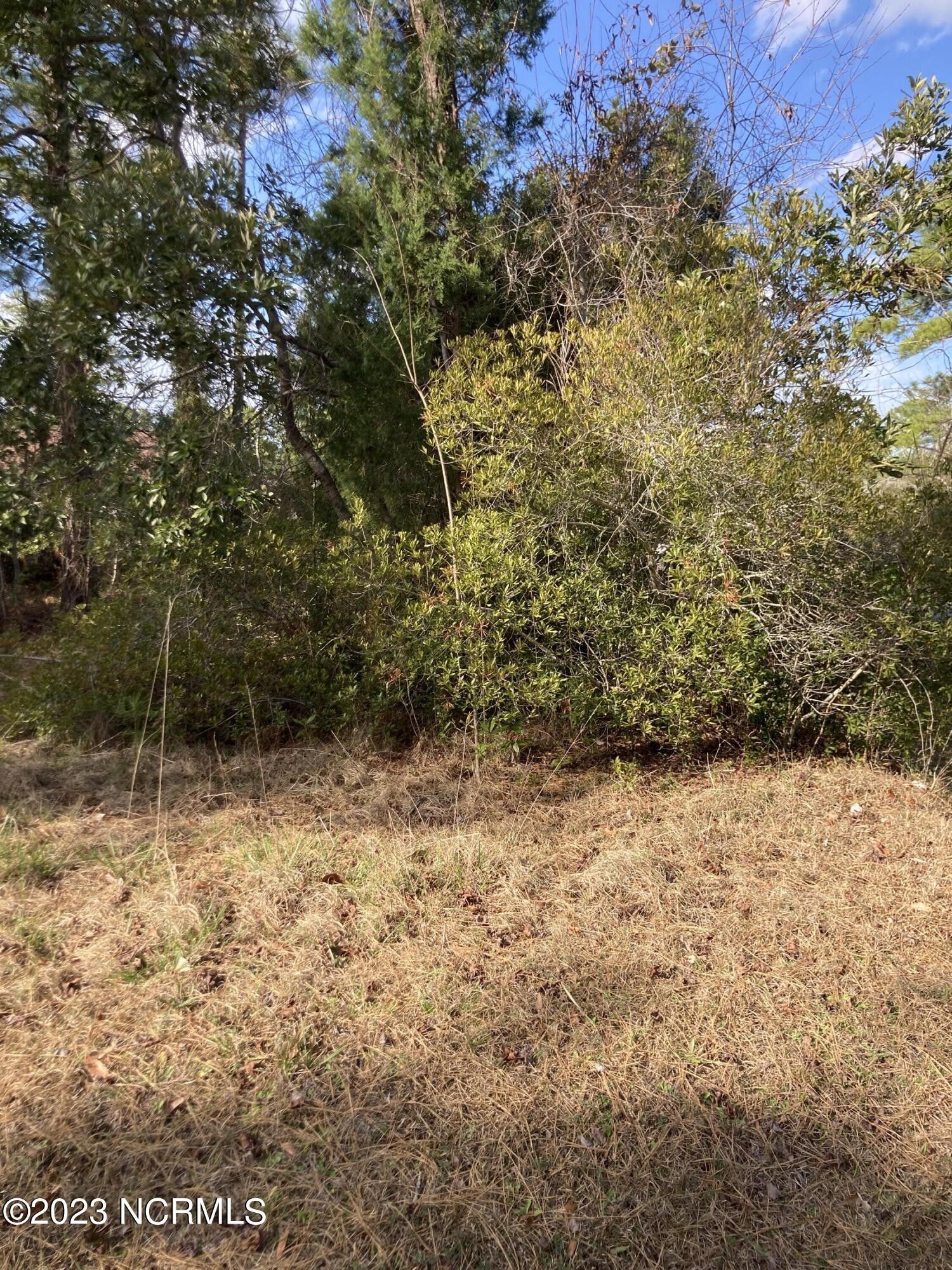 New Bern, Craven County, NC Farms and Ranches, Homesites for sale