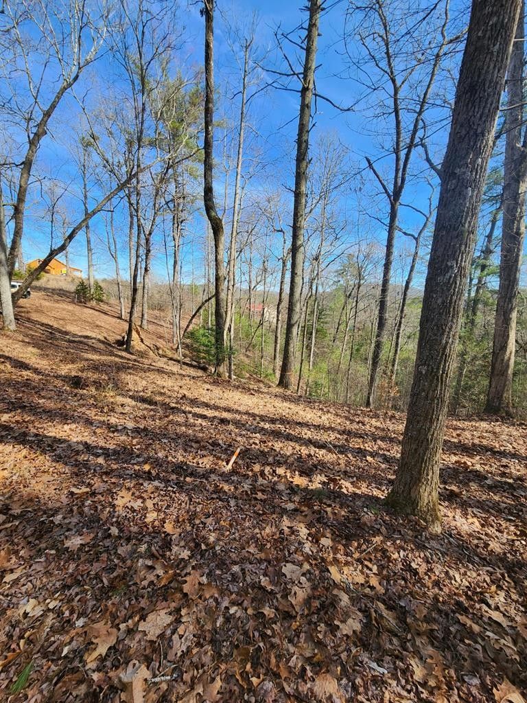 Murphy, Cherokee County, NC Farms and Ranches, Homesites for sale