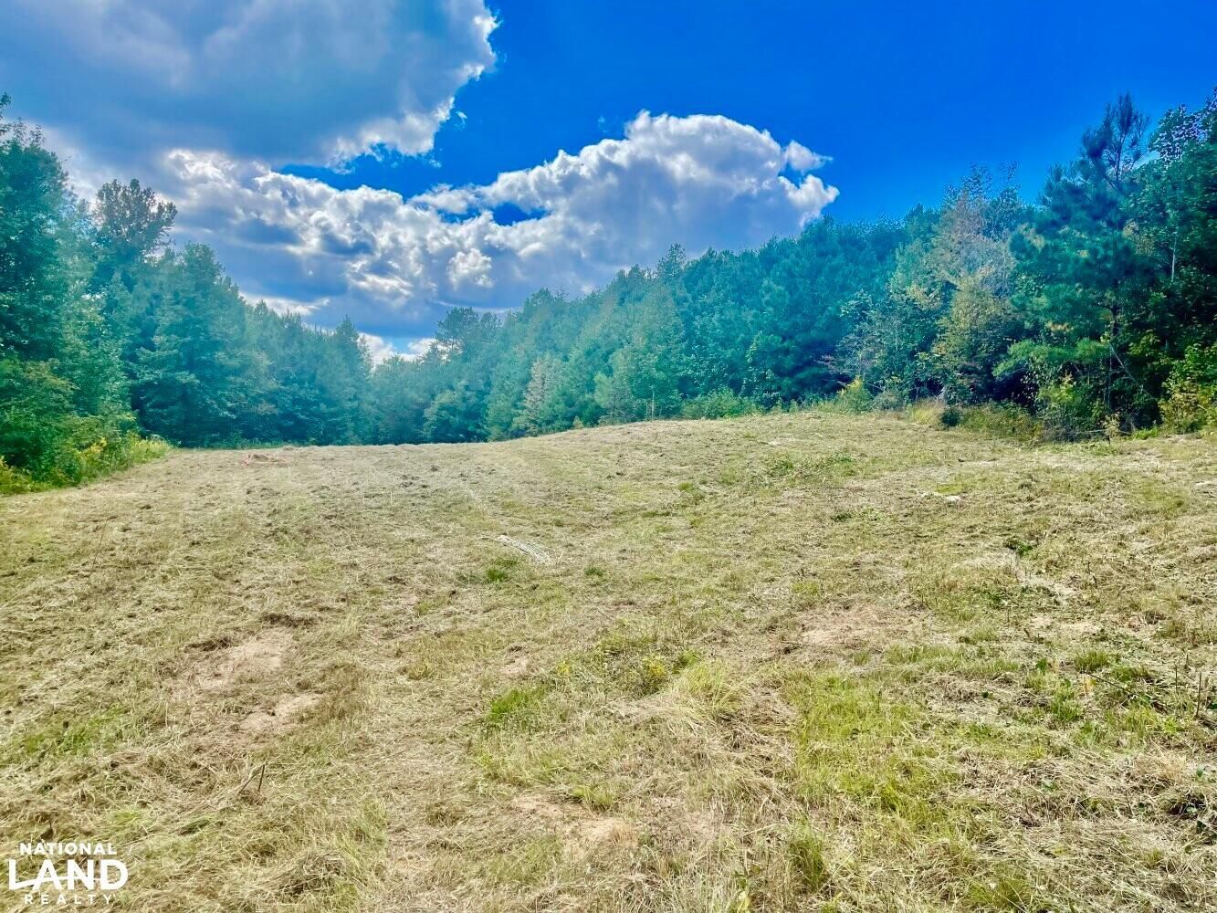 Adger, Jefferson County, AL Recreational Property, Undeveloped Land